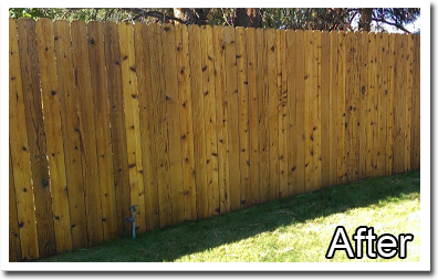 Fence Staining After 1